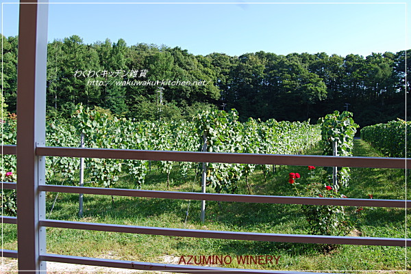 azumino-winery-18