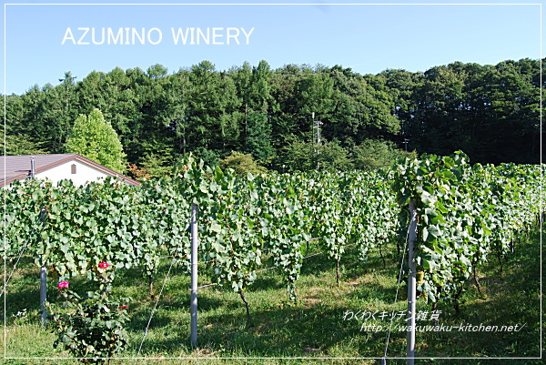 azumino-winery-2