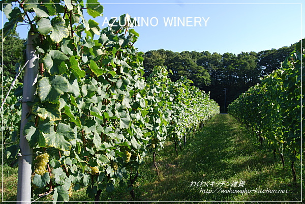 azumino-winery-3
