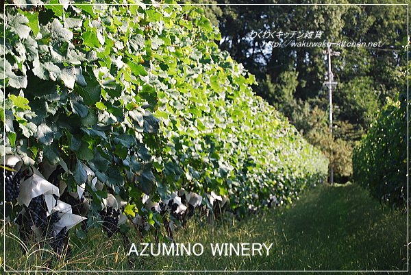 azumino-winery-4