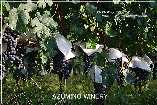 azumino-winery-8